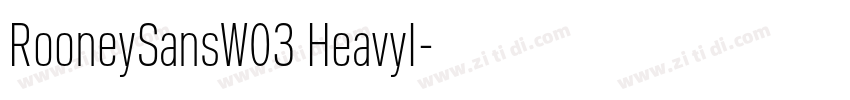 RooneySansW03 HeavyI字体转换